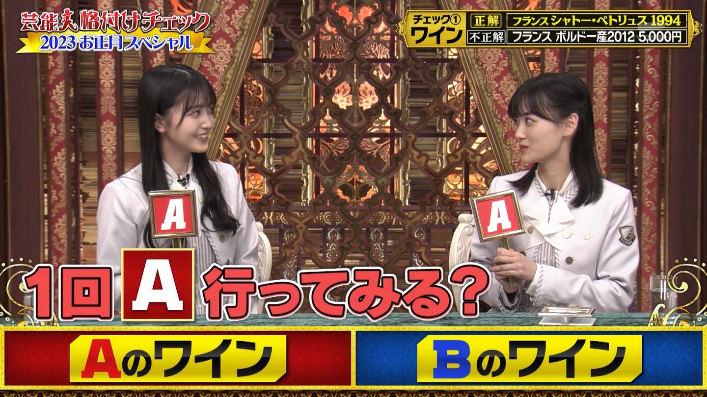乃木坂46専用　芸能人格付けチェック！2023お正月スペシャル ->画像>328枚 