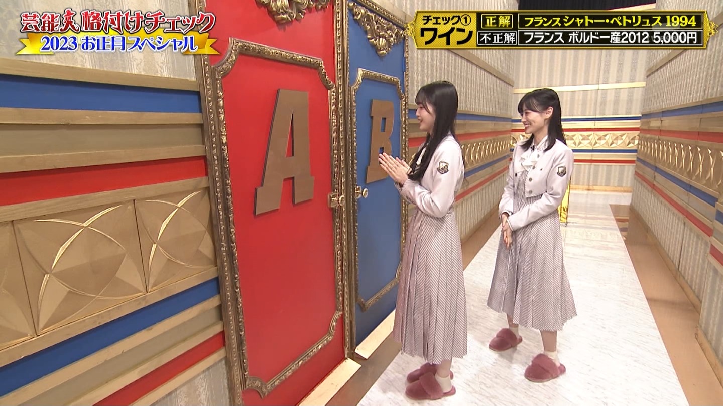 乃木坂46専用　芸能人格付けチェック！2023お正月スペシャル ->画像>328枚 
