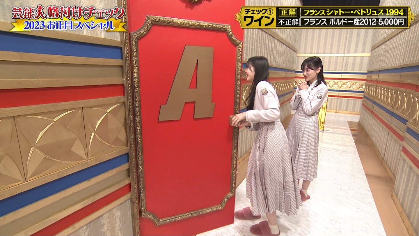 乃木坂46専用　芸能人格付けチェック！2023お正月スペシャル ->画像>328枚 