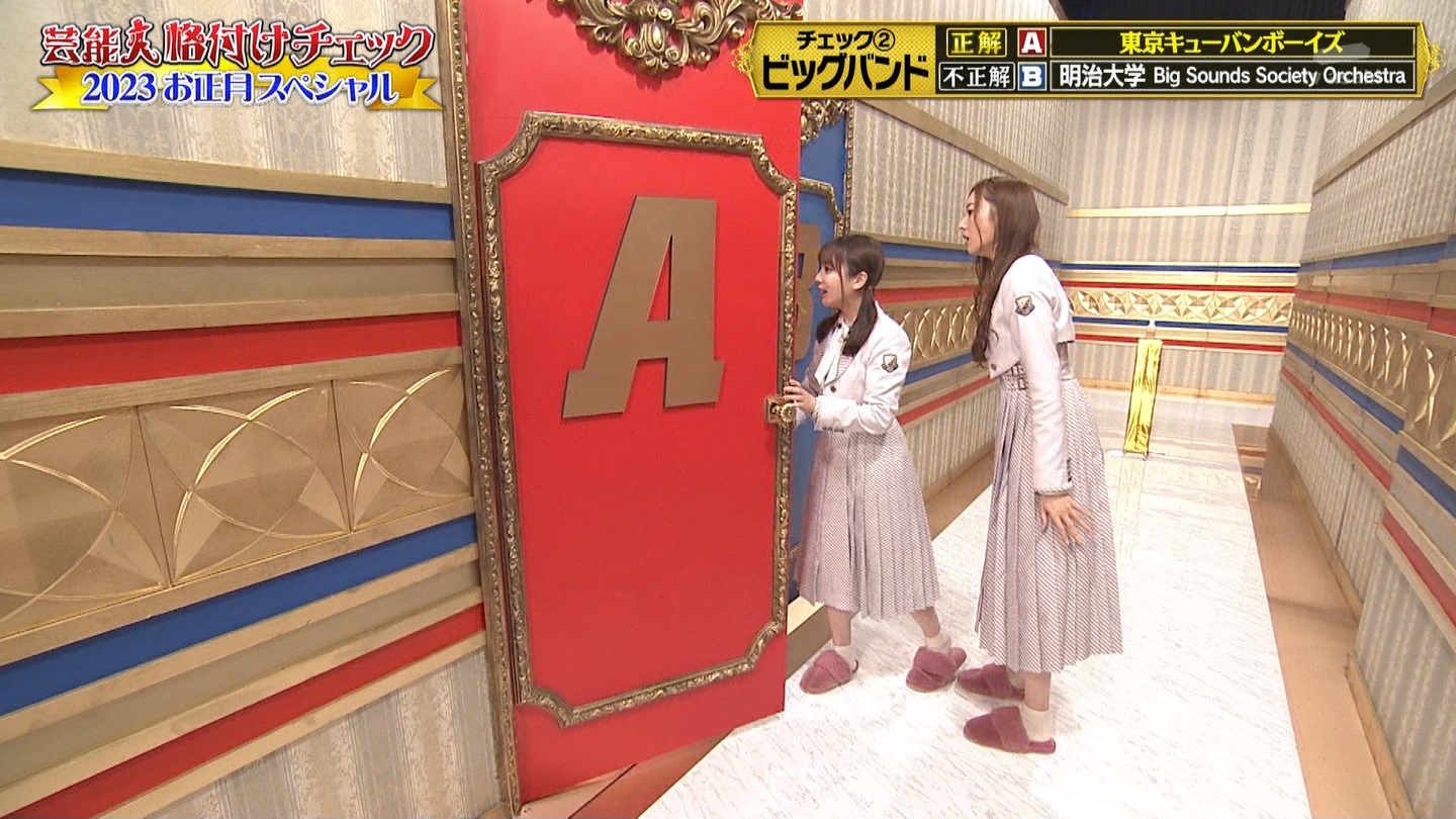 乃木坂46専用　芸能人格付けチェック！2023お正月スペシャル ->画像>328枚 