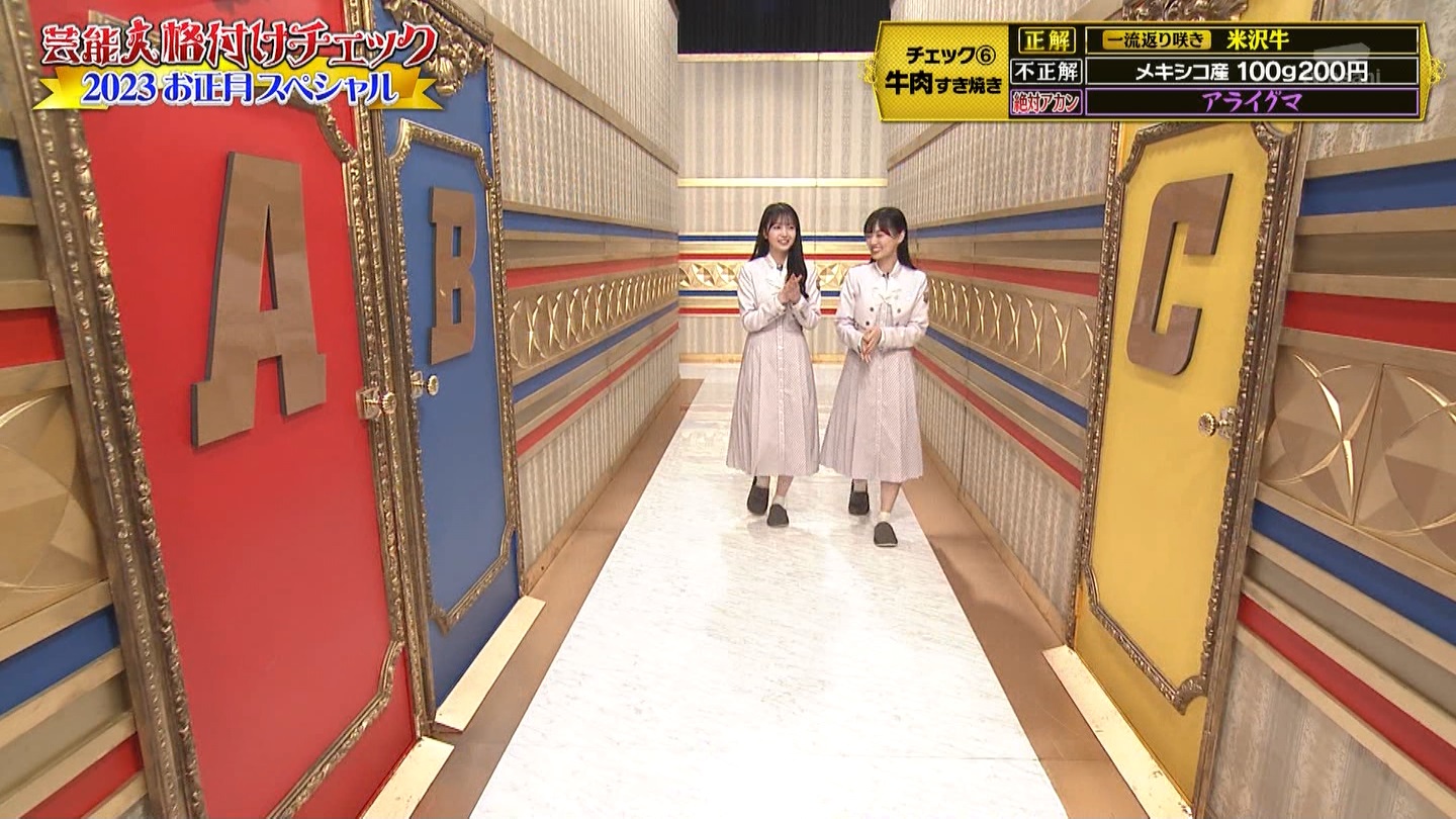 乃木坂46専用　芸能人格付けチェック！2023お正月スペシャル ->画像>328枚 
