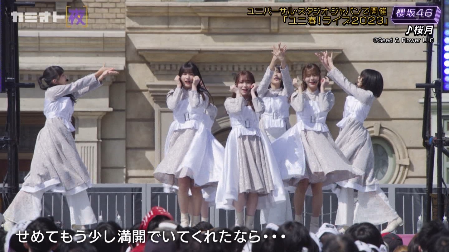 サクラミーツ　#5 ->画像>214枚 