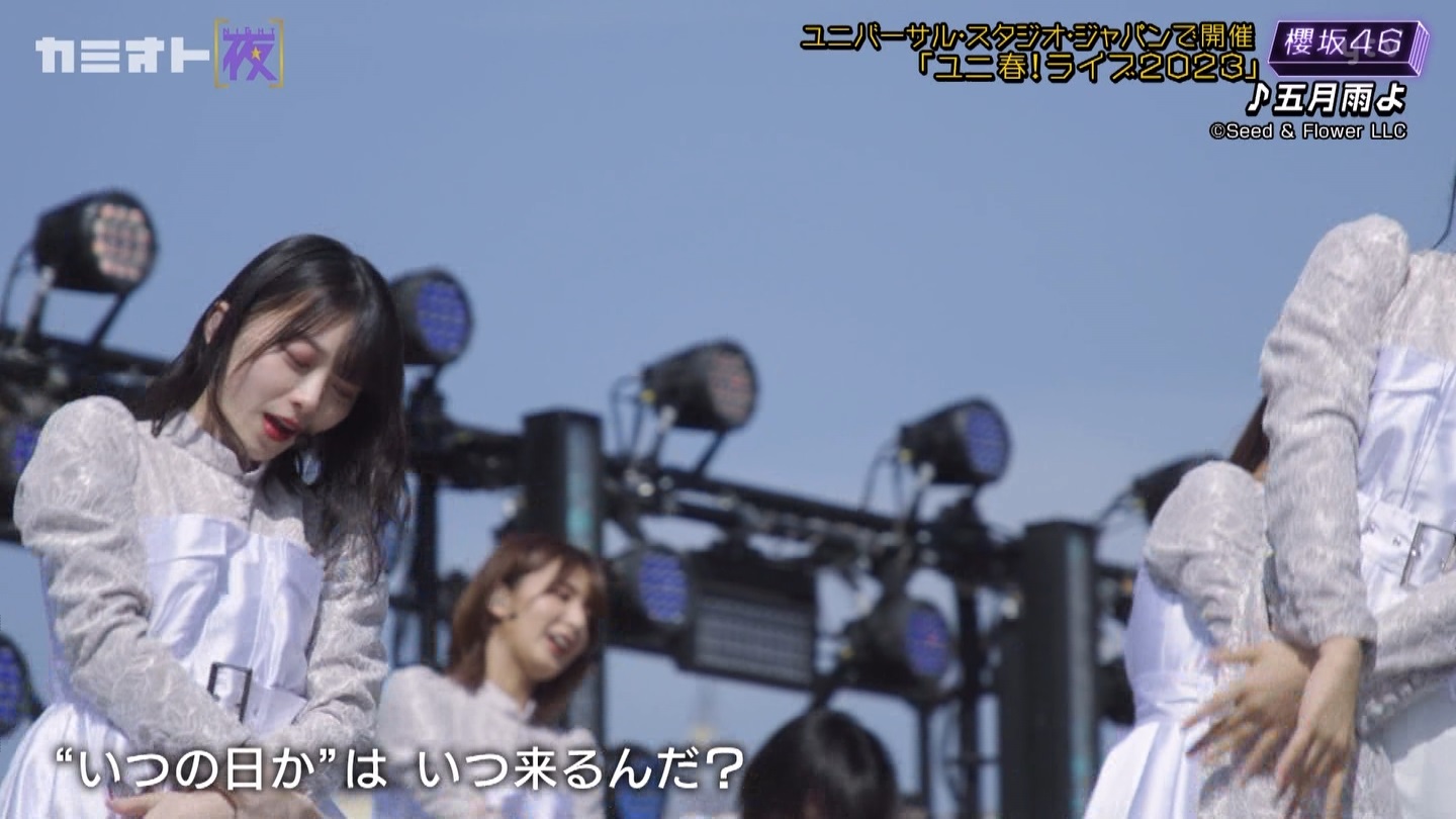 サクラミーツ　#5 ->画像>214枚 