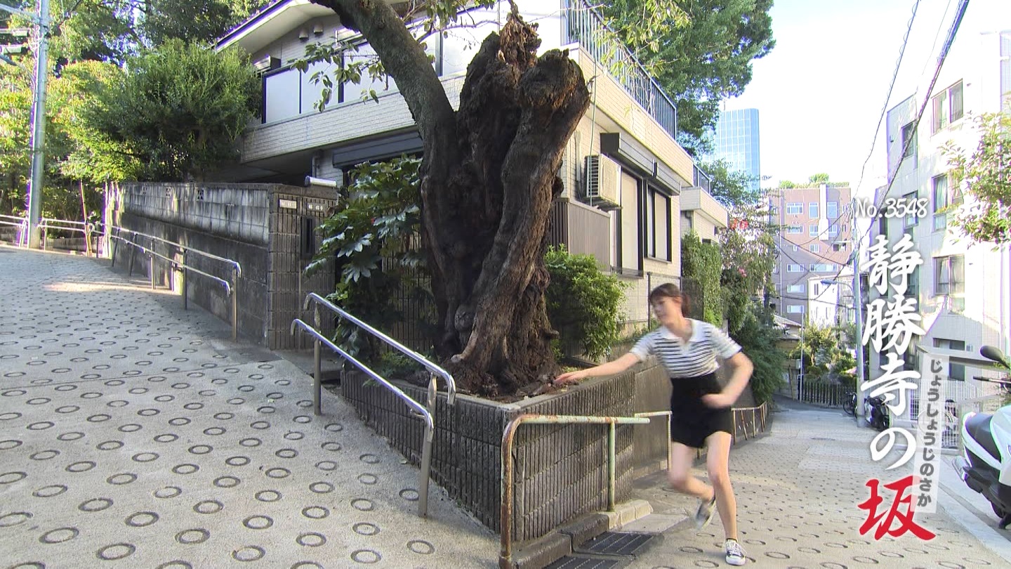   er 75712 ̃X[p[J`l YouTube>1{ ->摜>69 