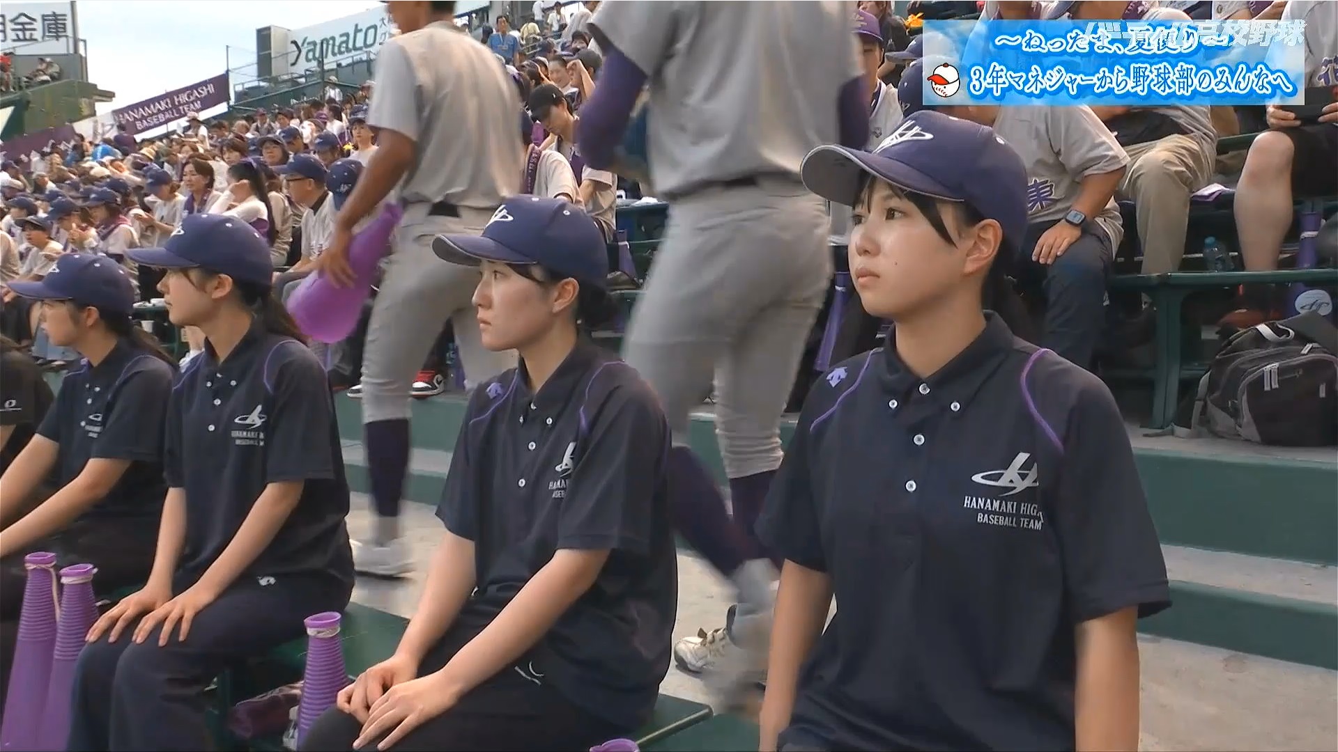 y2024z`AK[EqɖG Part 9 ->摜>184 