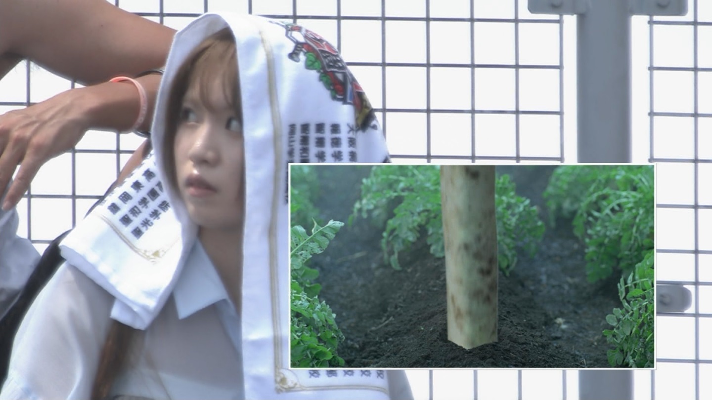 【2024】チアガール・女子高生に萌える夏 Part 10 ->画像>261枚 