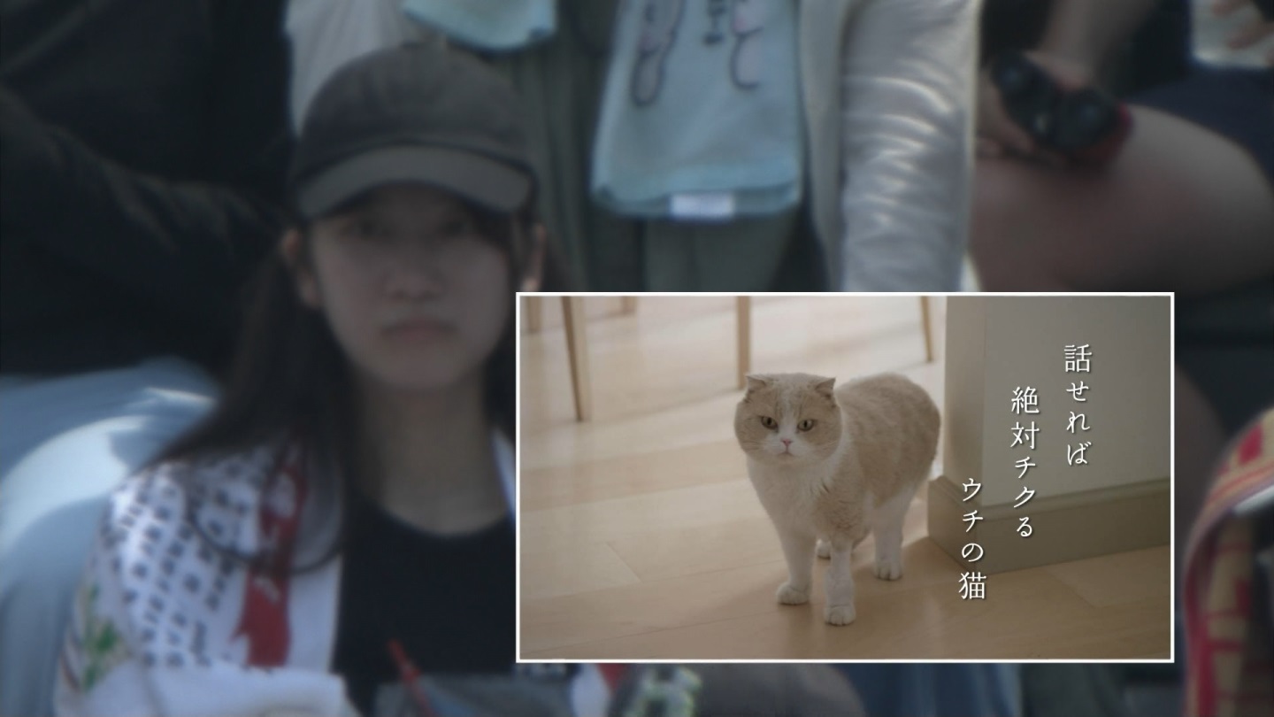 【2024】チアガール・女子高生に萌える夏 Part 10 ->画像>261枚 
