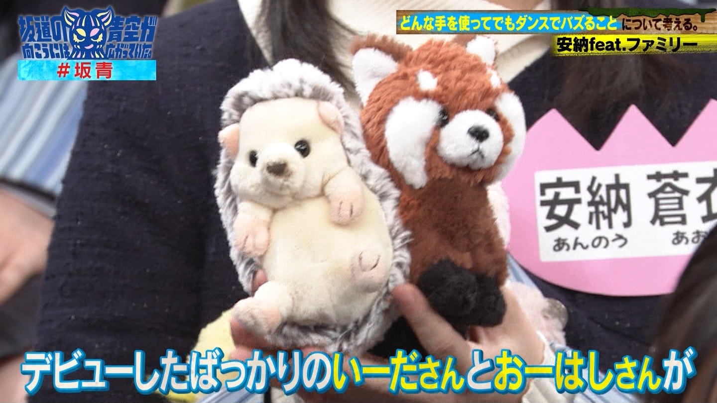 坂道の向こうには青空が広がっていた。 ->画像>33枚 