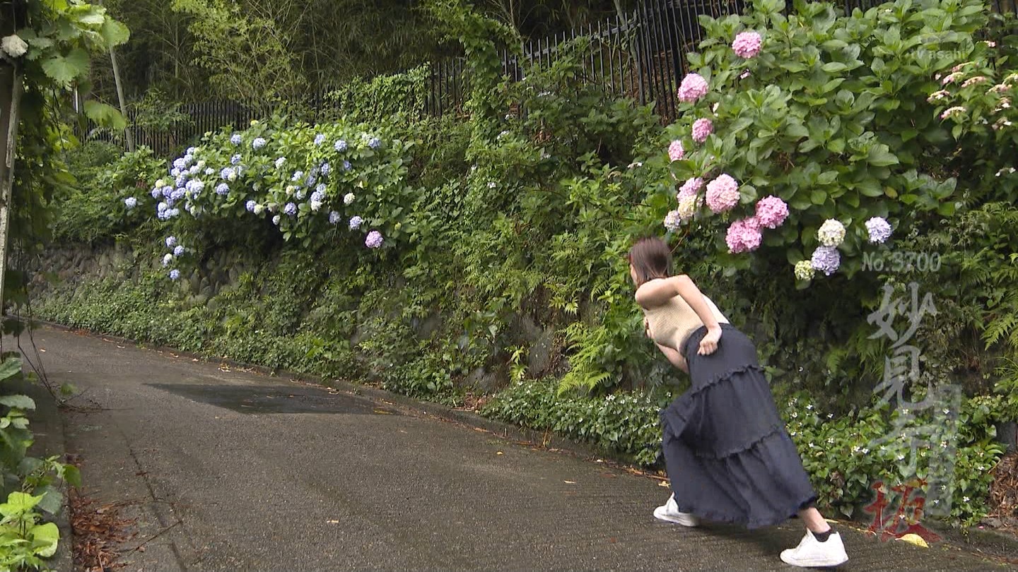   er 78312 {X THE X[p[J`l ->摜>26 