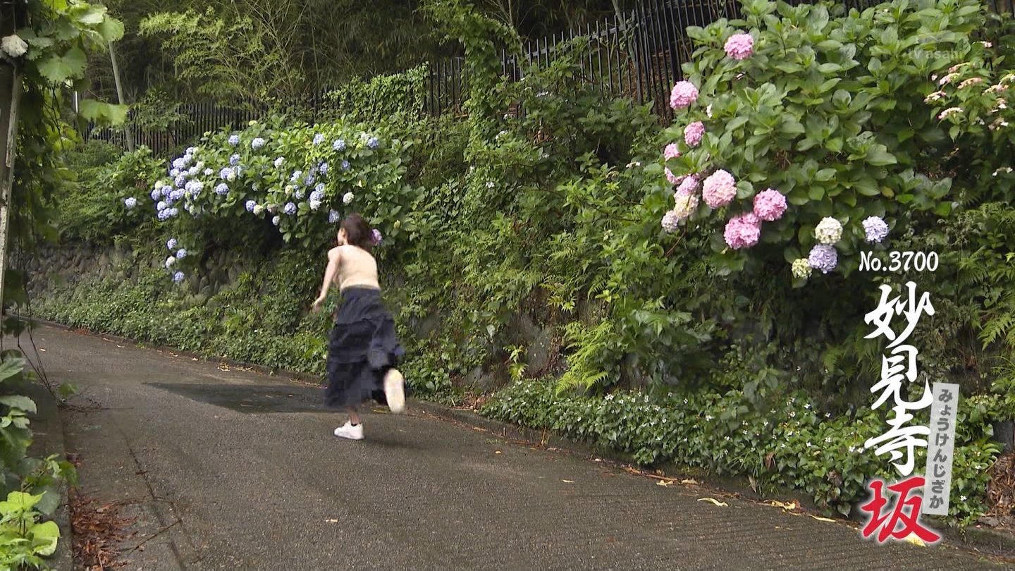   er 78312 {X THE X[p[J`l ->摜>26 